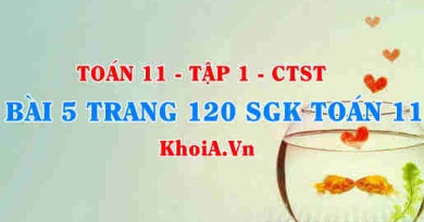 Bài 5 trang 120 SGK Toán 11 Tập 1 Chân trời sáng tạo